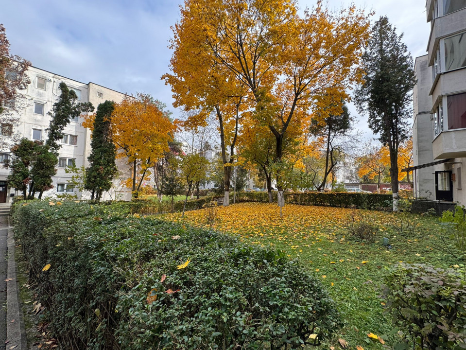 Apartment modern | 2 camere | La Cheie | zona Bucegi